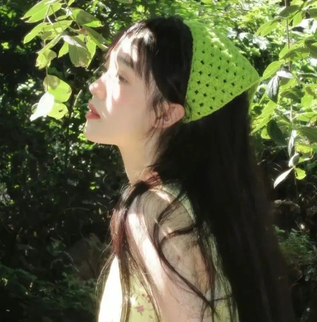我的中国芯